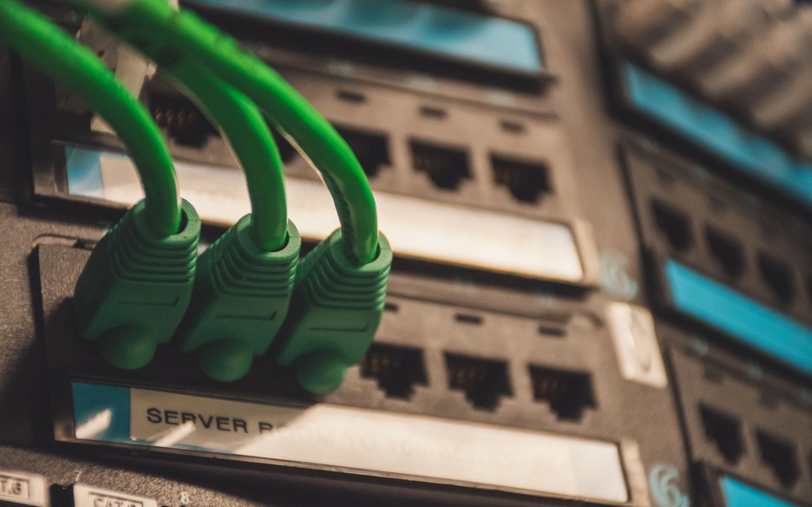 Zielone przewody Ethernet podłączone do panelu sieciowego